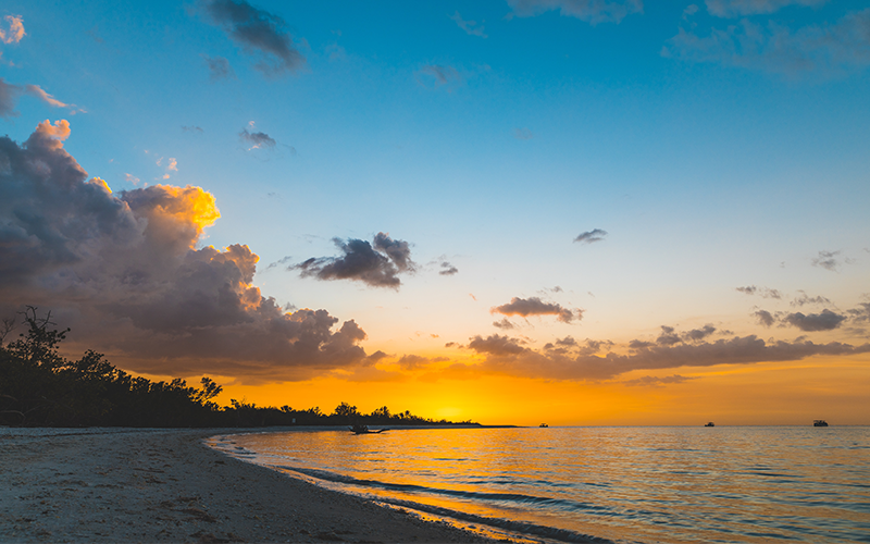 Top 5 Things You Should Be Able to Identify If You Live in South Florida