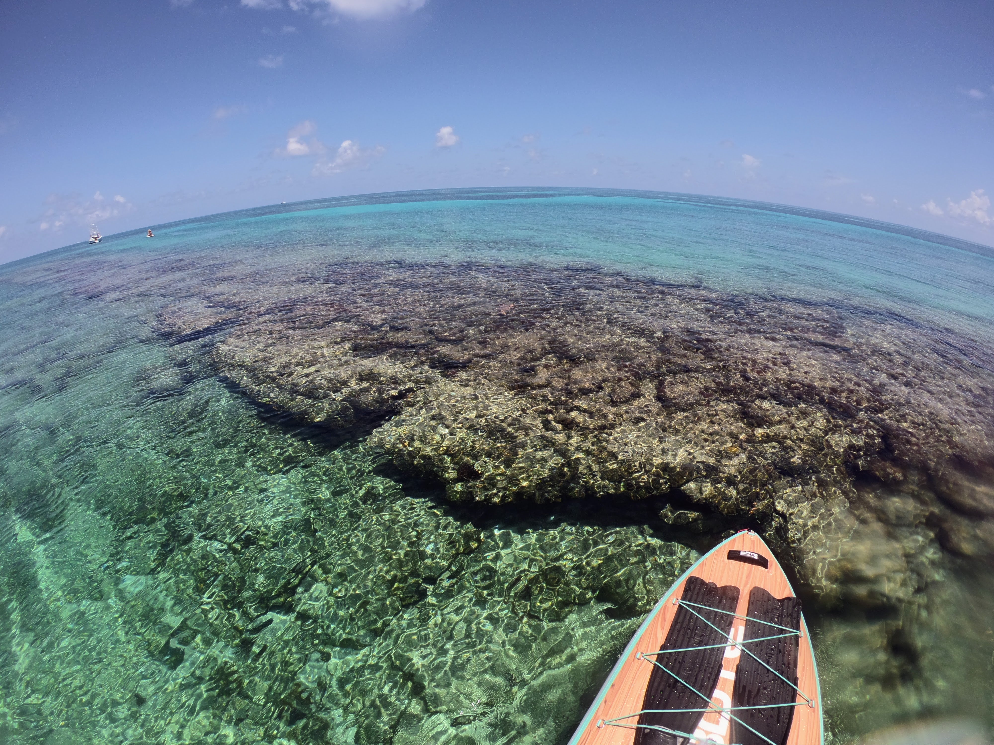 A Trip to Dry Tortugas