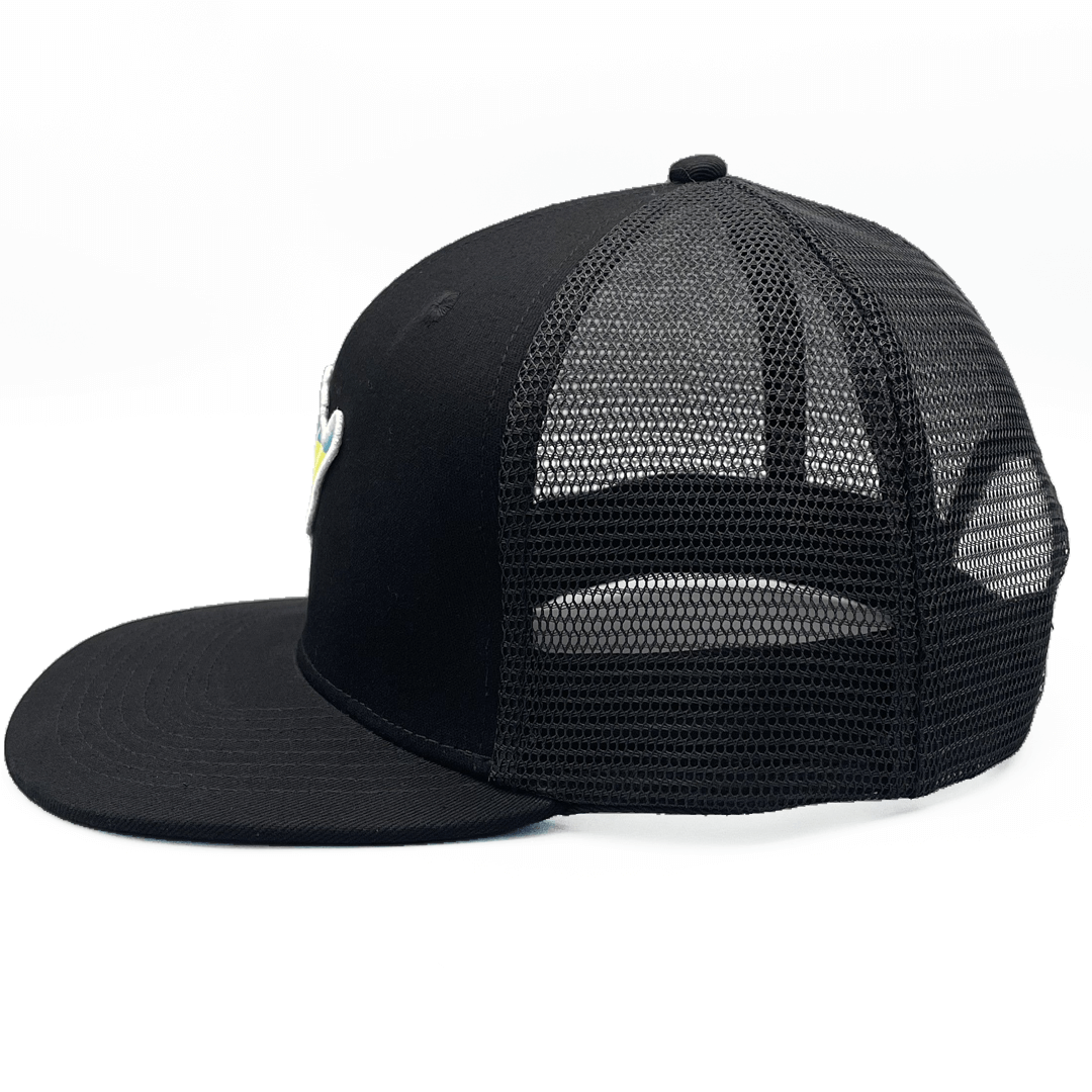 Black  mesh cap on a white background