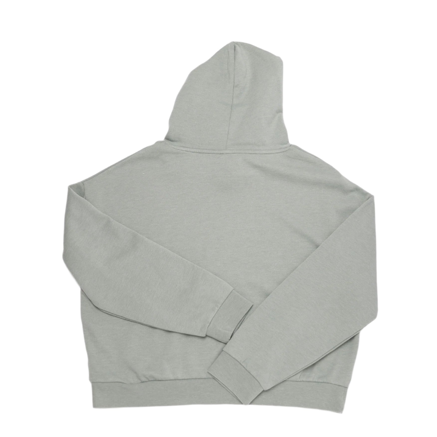 Back view of Icon Womens Hoodie in soft gray, showcasing its cozy design and comfortable fit for everyday wear.